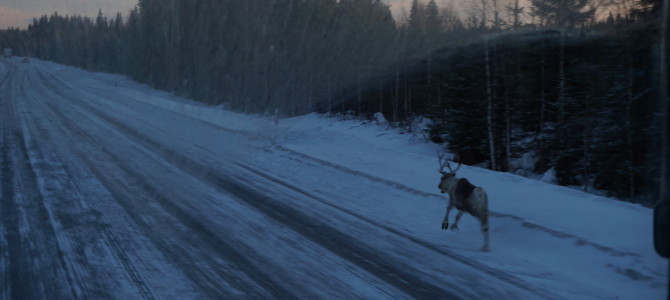 Short update from the trip to Levi (Lapland)